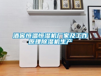企業(yè)新聞酒窖恒溫恒濕機(jī)廠家及工作原理除濕機(jī)生產(chǎn)