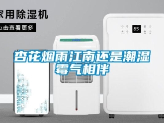 知識百科杏花煙雨江南還是潮濕霉氣相伴