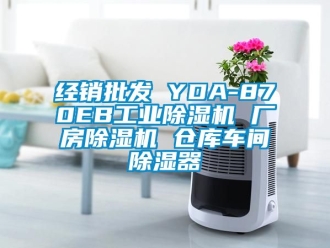 常見問題經銷批發 YDA-870EB工業除濕機 廠房除濕機 倉庫車間除濕器