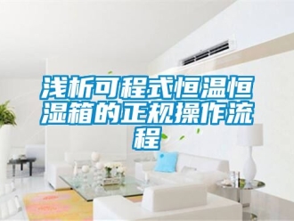 知識百科淺析可程式恒溫恒濕箱的正規操作流程