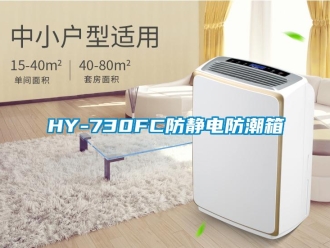 企業新聞HY-730FC防靜電防潮箱