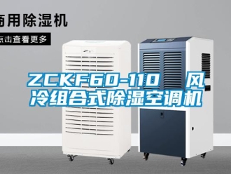 企業(yè)新聞ZCKF60-110  風冷組合式除濕空調(diào)機