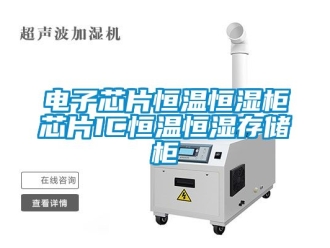 知識百科電子芯片恒溫恒濕柜芯片IC恒溫恒濕存儲柜