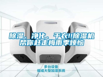 常見問題除濕、凈化、干衣!!除濕機幫你趕走梅雨季煩惱
