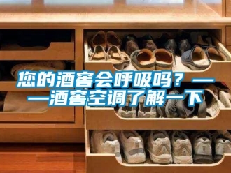 常見問題您的酒窖會呼吸嗎？——酒窖空調了解一下