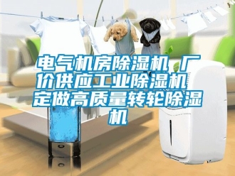 常見問題電氣機房除濕機 廠價供應工業除濕機 定做高質量轉輪除濕機