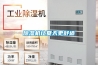 除濕機讓夏天更舒適