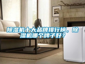企業新聞除濕機十大品牌排行榜，除濕機哪個牌子好？