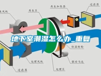 企業(yè)新聞地下室潮濕怎么辦_重復(fù)