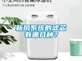 企業新聞新風系統的濾芯有哪幾種？