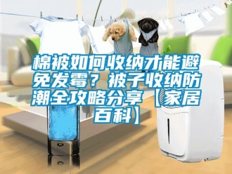 常見問題棉被如何收納才能避免發霉？被子收納防潮全攻略分享【家居百科】