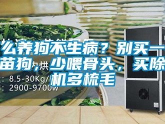 行業新聞怎么養狗不生病？別買一針疫苗狗，少喂骨頭，買除濕機多梳毛
