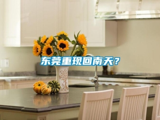 企業(yè)新聞東莞重現(xiàn)回南天？