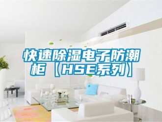 常見問題快速除濕電子防潮柜【HSE系列】