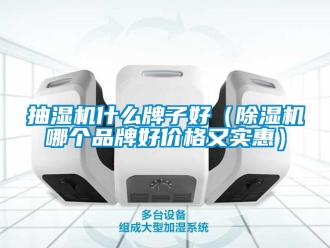 企業(yè)新聞抽濕機(jī)什么牌子好（除濕機(jī)哪個(gè)品牌好價(jià)格又實(shí)惠）