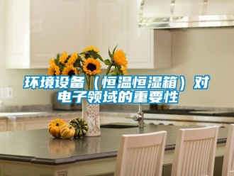 知識百科環(huán)境設備（恒溫恒濕箱）對電子領域的重要性
