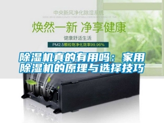 常見問題除濕機真的有用嗎：家用除濕機的原理與選擇技巧