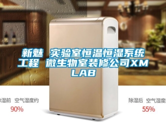 知識百科新魅 實驗室恒溫恒濕系統(tǒng)工程 微生物室裝修公司XMLAB