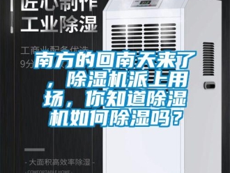常見問題南方的回南天來了，除濕機派上用場，你知道除濕機如何除濕嗎？
