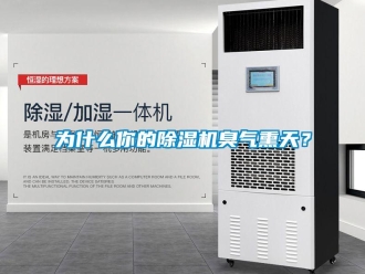 知識百科為什么你的除濕機臭氣熏天？
