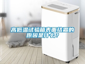 常見(jiàn)問(wèn)題高低溫試驗(yàn)箱表面結(jié)霜的原因是什么？