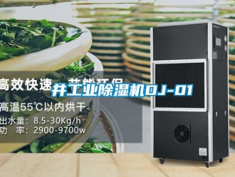 常見問題東井工業(yè)除濕機DJ-01