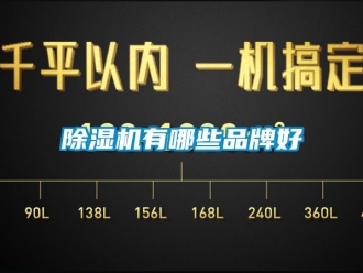 企業(yè)新聞除濕機(jī)有哪些品牌好