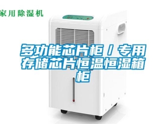 知識百科多功能芯片柜／專用存儲芯片恒溫恒濕箱柜