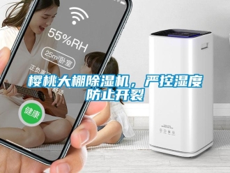 知識百科櫻桃大棚除濕機，嚴控濕度防止開裂