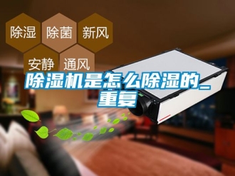 行業(yè)新聞除濕機(jī)是怎么除濕的_重復(fù)