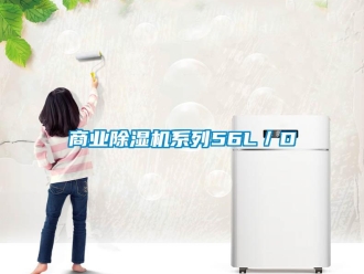 知識(shí)百科商業(yè)除濕機(jī)系列56L／D