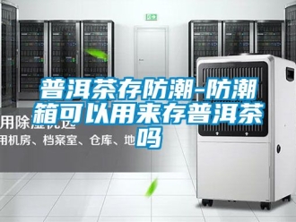 常見問題普洱茶存防潮-防潮箱可以用來存普洱茶嗎