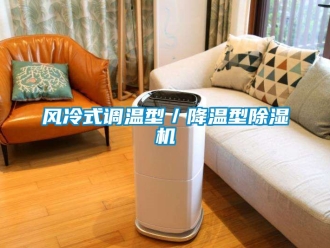 行業(yè)新聞風(fēng)冷式調(diào)溫型／降溫型除濕機(jī)
