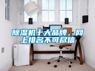 企業新聞除濕機十大品牌，網上排名不可盡信