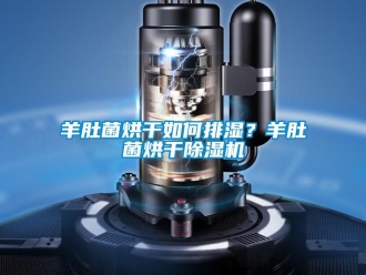 常見問題羊肚菌烘干如何排濕？羊肚菌烘干除濕機