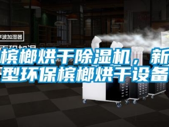 常見問題檳榔烘干除濕機(jī)，新型環(huán)保檳榔烘干設(shè)備