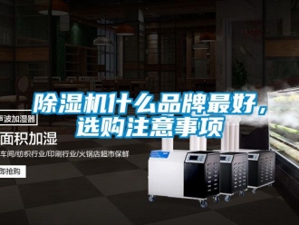 企業新聞除濕機什么品牌最好，選購注意事項