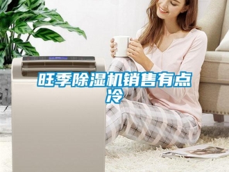 知識百科旺季除濕機(jī)銷售有點(diǎn)冷