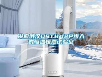 知識百科供應武漢DSTH-12P步入式恒溫恒濕試驗室