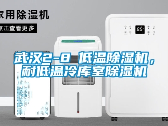 行業(yè)新聞武漢2-8℃低溫除濕機(jī)，耐低溫冷庫室除濕機(jī)