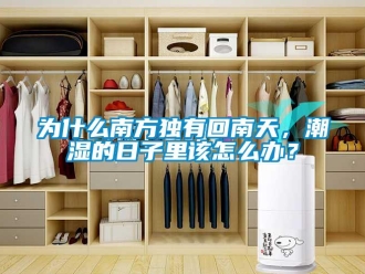 常見問題為什么南方獨有回南天，潮濕的日子里該怎么辦？