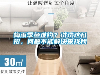 常見問題梅雨季魚難釣？試試這幾招，問題不能解決來找我