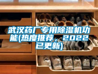行業(yè)新聞武漢藥廠專用除濕機(jī)功能(熱度推薦，2022已更新)
