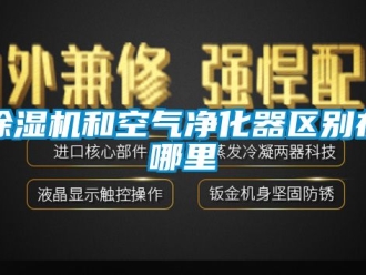 行業(yè)新聞除濕機和空氣凈化器區(qū)別在哪里