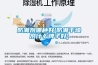 防潮劑哪種好(防潮干燥劑什么牌子好)
