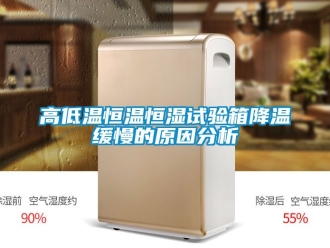 知識百科高低溫恒溫恒濕試驗箱降溫緩慢的原因分析