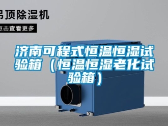 知識百科濟南可程式恒溫恒濕試驗箱（恒溫恒濕老化試驗箱）