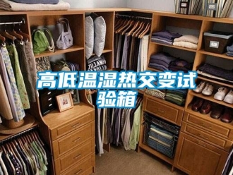 常見問題高低溫濕熱交變試驗箱