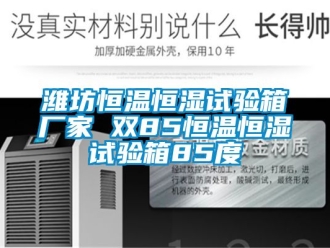 知識百科濰坊恒溫恒濕試驗箱廠家 雙85恒溫恒濕試驗箱85度