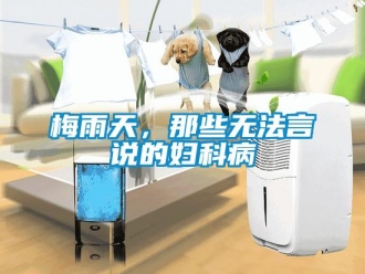 行業新聞梅雨天，那些無法言說的婦科病